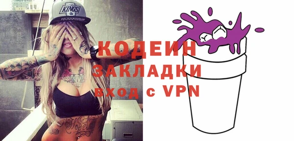 хмурый Дмитров