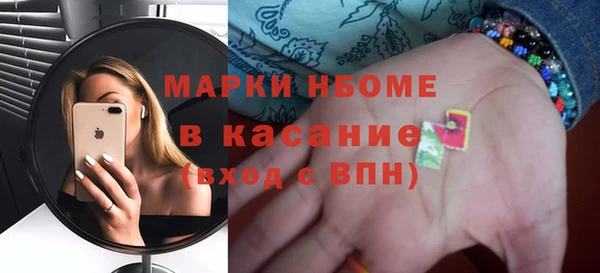 хмурый Дмитров