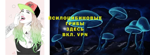 МДПВ Горнозаводск