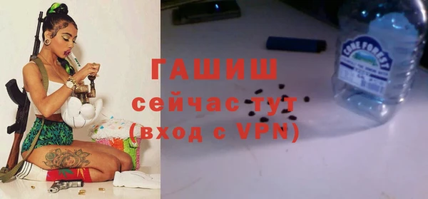 скорость Вяземский