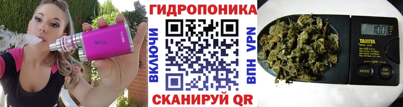 где можно купить наркотик  Дивногорск  Бошки Шишки OG Kush 